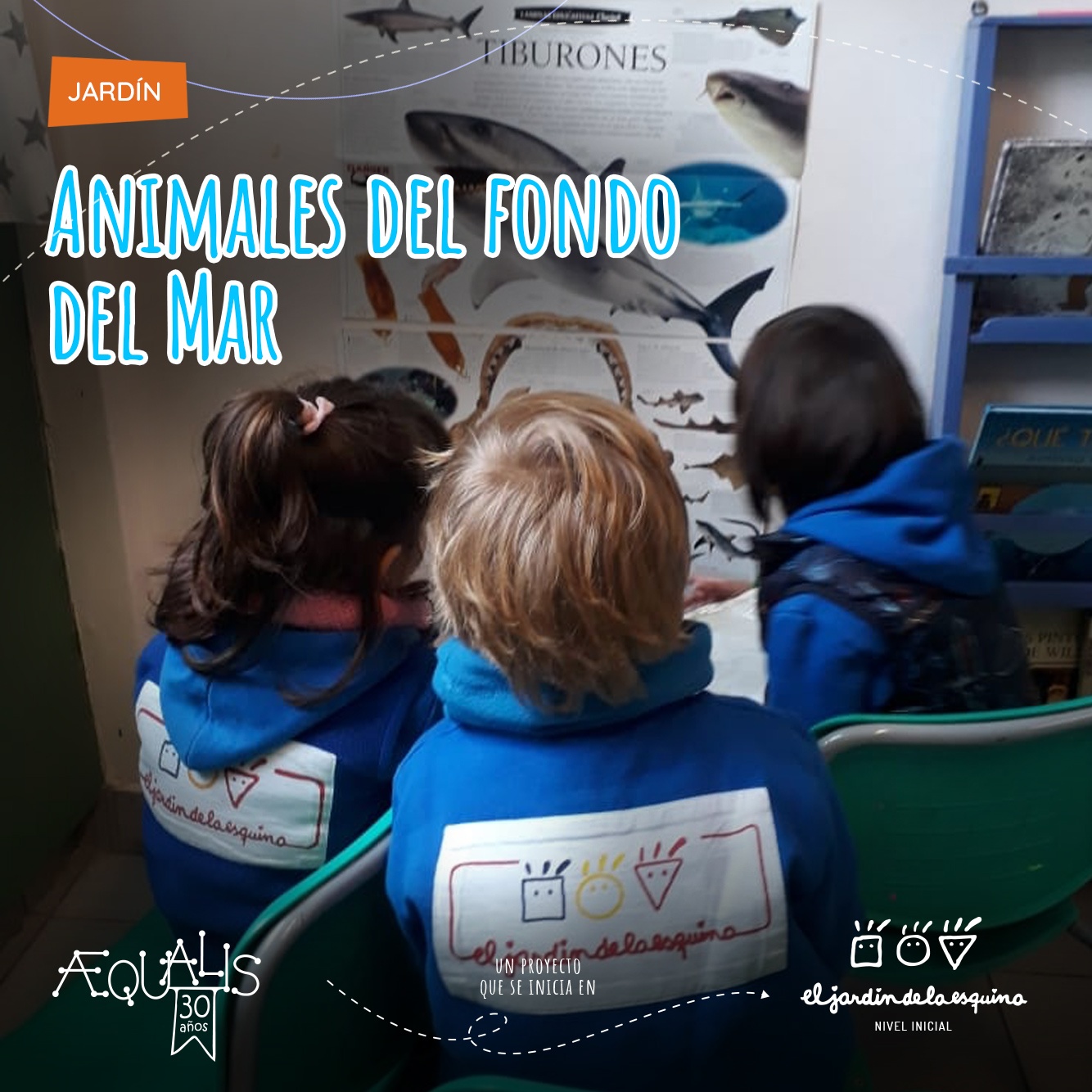 Animales del fondo del Mar en las salas de 4